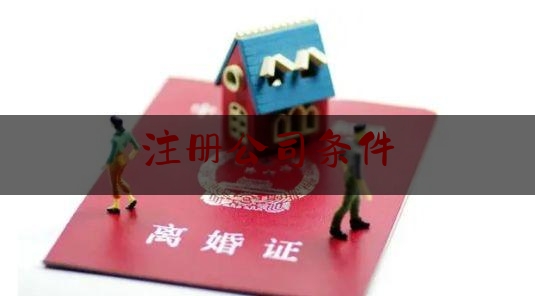 科普了一下注册公司条件,在美国注册公司需要什么条件