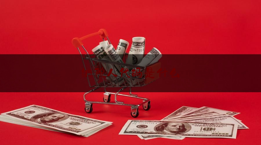 权威新闻介绍:纳税人代码是什么,纳税人登录电子税务局