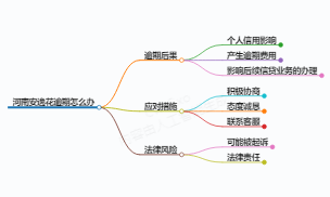河南安逸花逾期的应对之策